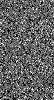 STELLA Панель ПВХ Бамбук фон 351/1 (5мм) 