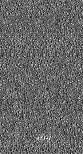 STELLA Панель ПВХ Бамбук фон 351/1 (5мм)